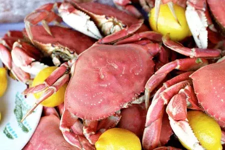 Gros plan d'un tas de crabes cuits avec des tranches de citron sur un plateau.